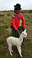 Peruvian peasant with alpaca.jpg