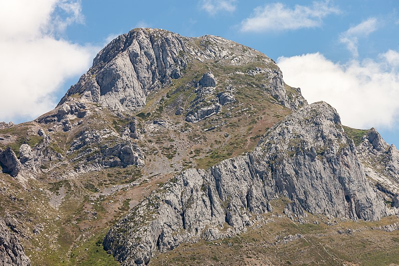 File:Pico en Villamanín de la Tercia. León-06.jpg