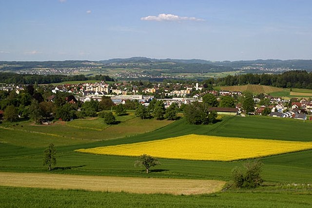 The Swiss Plateau near Muri (AG)