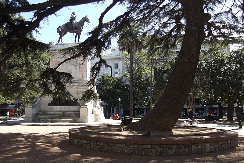 File:Plaza Zabala, arbol emblemático.jpg