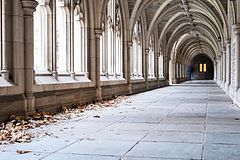 Princeton University's campus was used as one of the sets for the 2004 film Harold & Kumar Go to White Castle. Princeton I.jpg