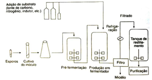 Penicilina: História, Estrutura química, Mecanismo de ação