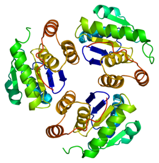 <span class="mw-page-title-main">PTP4A1</span>