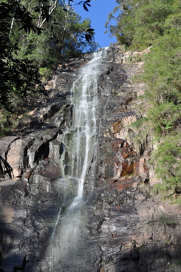 Protestors Falls in Nightcap National Park, 2013