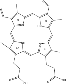 Protoporphyrin IX with pyrrole rings lettered. Protoporphyrin IX with letters.svg