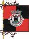 Flagge des Concelhos Idanha-a-Nova