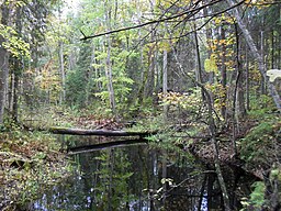 Puhatu naturreservat.