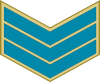 Raqib - Egyptian Air Force.svg