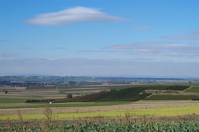 File:Rheinhessen-selztal-bei-dolgesheim-d-schmidt-10-2002.jpg