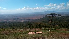 Rift Valley escapment.jpg