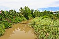 * Nomination Kinabutan River at the bridge near Roudhotul Jannah Mosque in Tawau, Sabah --Cccefalon 09:04, 5 August 2014 (UTC) * Withdrawn  Oppose Sorry, wire is disturbing. It spoils the composition and the picture--Lmbuga 18:29, 5 August 2014 (UTC)  Comment In this case, you are right; the wire is too dominant. However, as there are a lot of wires next to all bridges in Sabah, I wouldn't give in generally. --Cccefalon 20:29, 5 August 2014 (UTC)  Comment I understand you, I know places with this problem and I have frequently this problem. Sorry--Lmbuga 22:22, 5 August 2014 (UTC)