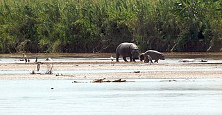 Rusizi National Park