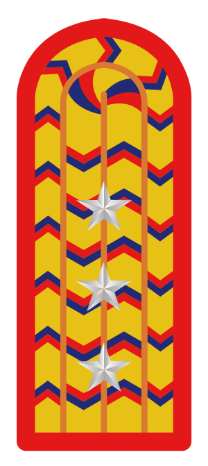 SS.OO.4.EJER.CAPITÁN.svg