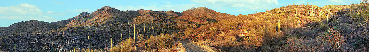 Saguaro National Park Panorama Banner.jpg