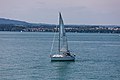 * Nomination Sailing on Lake Constance --MB-one 11:37, 30 January 2023 (UTC) * Promotion  Support Good quality. --Poco a poco 19:07, 30 January 2023 (UTC)
