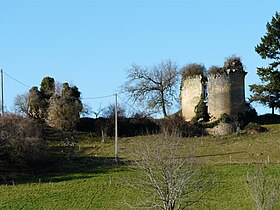 Château de Rochemorin (Saint-Front-d'Alemps) makalesinin açıklayıcı görüntüsü
