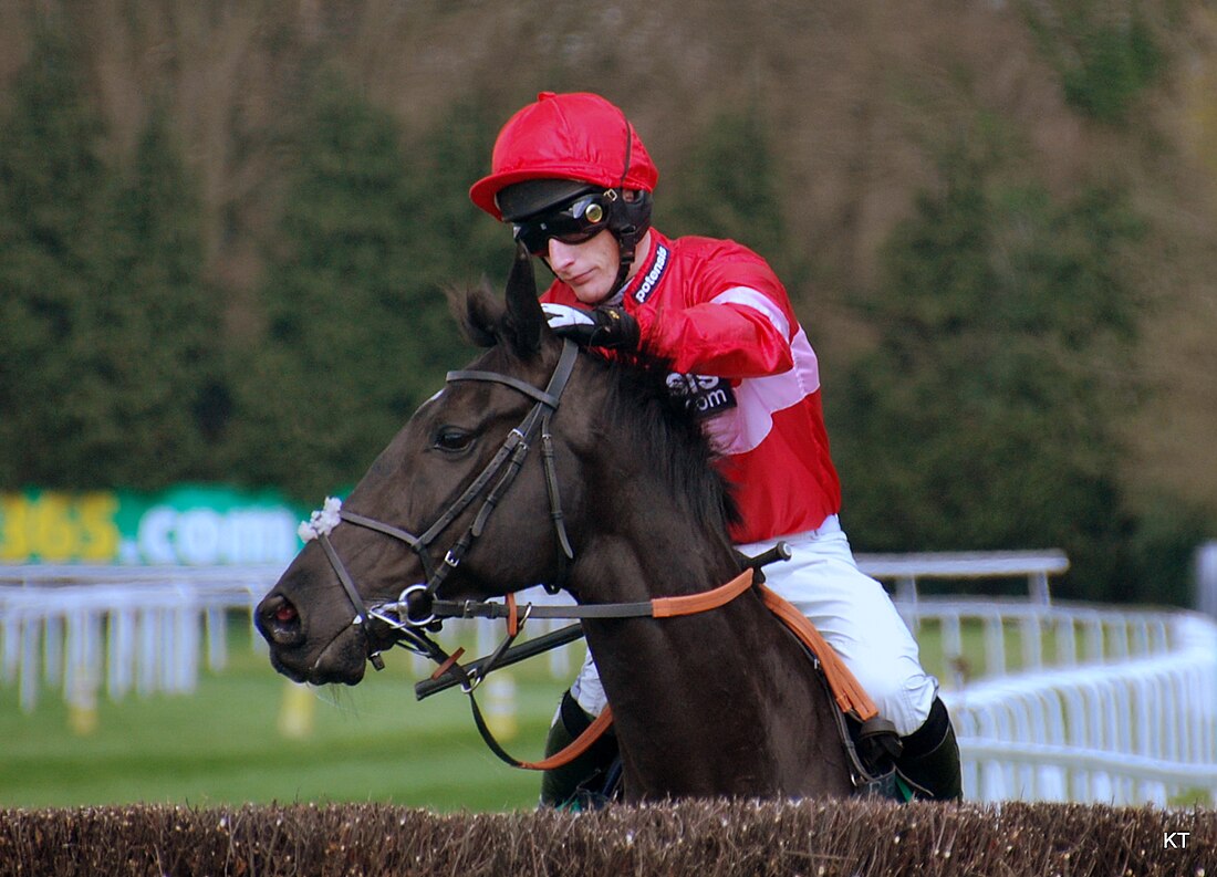 Daryl Jacob