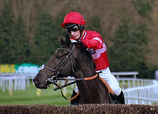 <span class="mw-page-title-main">Daryl Jacob</span> Irish National Hunt jockey (born 1983)