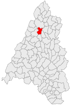 Location of Ciuhoi