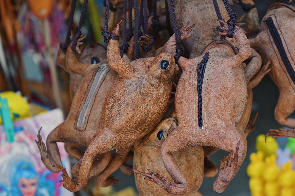Adorable Kawaii Frog Crossbody Bag - Kawaii Frog Coin purse – Youeni