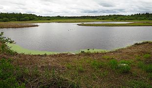 Savalduma karstijärv Savalduma karstialal