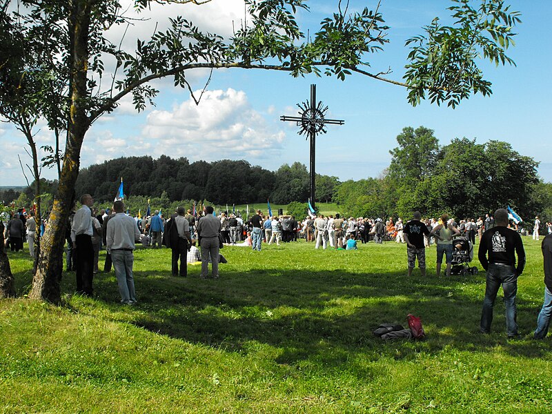 File:Sinimäed Memorial 2009 - 162.jpg