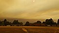 Smoky sky from wildfires (2020)