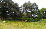 Snape Anglo-Saxon Cemetery