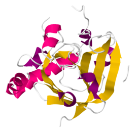 Связанная с пилусом сортаза C стрептококка группы B. PDB 3O0P[1]