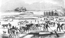 Ice harvesting at Spy Pond, from an 1854 print