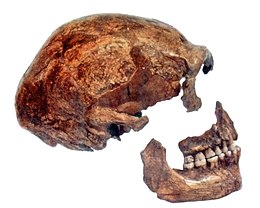 Geschiedenis Van België: Prehistorie, Romeinse tijd, Merovingische en Karolingische periode