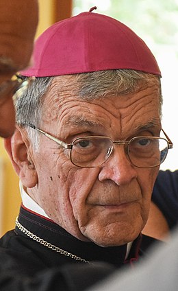 Stanislav Lipovšek, upokojeni celjski škof (cropped).jpg