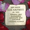 Stolperstein Weberstraße 13 Elise Kaufmann