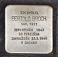 Piatra de poticnire pentru Bertold Broch.JPG