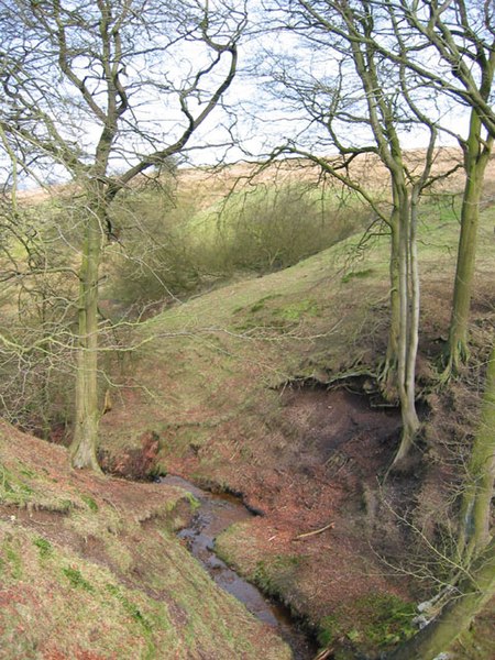 Bristle Hollow 450px-Stream_valley_near_Boarsgrove_-_geograph.org.uk_-_362474