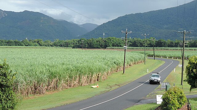 Sugar cane fields with mountains beyond, Lower Freshwater Road, Barron, 2018