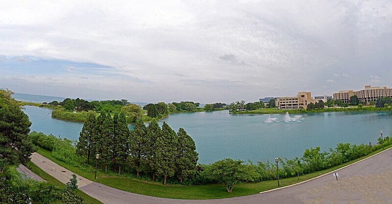 File:Summer view from Allen Center.jpg