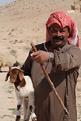 Syrian Bedouin Shepherd.jpg