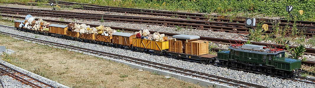 Teddy-Express Dampflokfreunde Karlsruhe e.V.