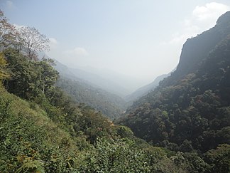 Landschaft in den Nilgiri-Bergen