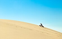 Una persona y varios perros escalan una duna