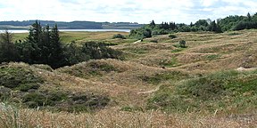 Aussicht über Hanstholm Wildreservat im nördlichen Teil des Nationalparks