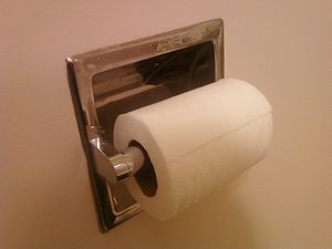 A roll of toilet paper attached to the wall of...