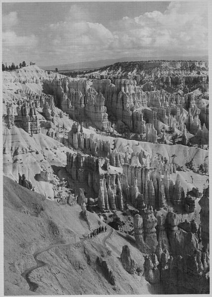 File:Tourists on trail below Sunrise Point. Ranger Cope's daily guide party. Queen's Garden and Queen's Castle in... - NARA - 520300.jpg