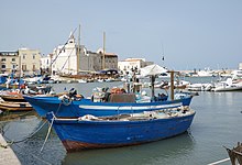 Imbarcazioni nel porto di Trani