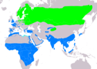 Aire de répartition du Chevalier cul-blanc