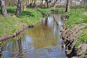 Trzcianka river in Trzcianka town 2011-04.jpg