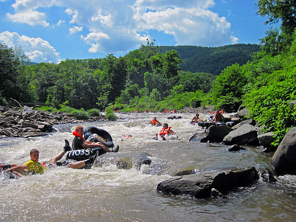 Free-floating tubers on Esopus Creek