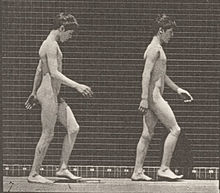 File Two Nude Boys Walking Rbm Qp301m8 17 012b 11 Jpg Wikimedia Commons