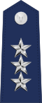 US Air Force O9 плечеборд.svg 